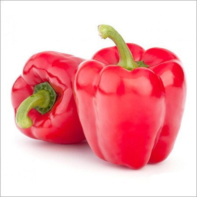 DIVINE CAPSICUM Seed(100 per packet)