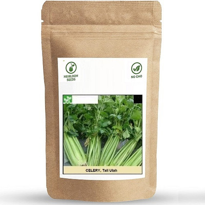 Biosnyg Tall Utha Celery-[1000 Seeds] Seed(1000 per packet)