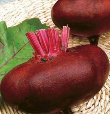 MYLAWN Dark Red Beetroot Seed(2000 per packet)