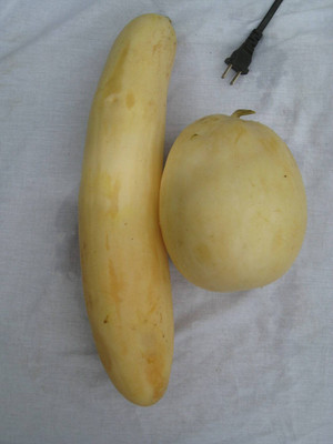 UGRA Snap Melon Momordica / Phoota Seed(150 per packet)