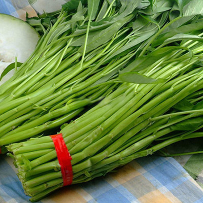 CYBEXIS Water Spinach Seeds Rustic Heat Resistant1000 Seeds Seed(1000 per packet)