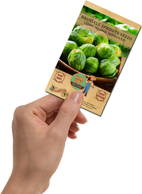 WILLVINE GOI -VII Brussels Sprouts Long Island Improved [50g] Seed(15000 per packet)