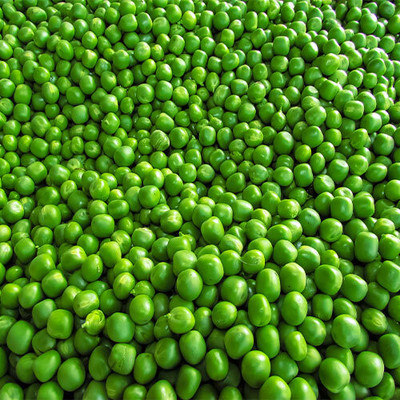 Infintegreen PEAS Seed(100 per packet)