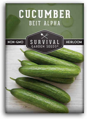 CYBEXIS GBPUT-78 - Beit Alpha Cucumber - (150 Seeds) Seed(150 per packet)