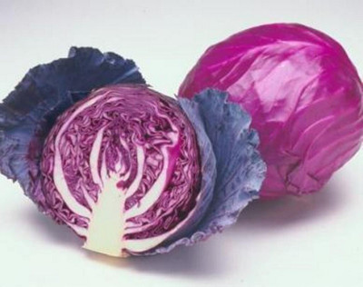 Cloud Farm Cabbage red Seed(50 per packet)