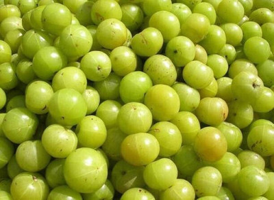 Aro Gooseberry, Amla Seed(79 per packet)