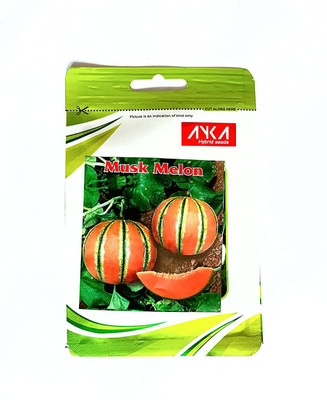 CYBEXIS XLL-1 - Musk Melon - (150 Seeds) Seed(150 per packet)
