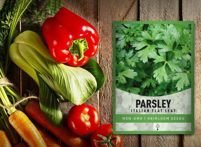 VibeX NBIR-76 - Dark Green Italian Flat Leaf Parsley - (2250 Seeds) Seed(2250 per packet)