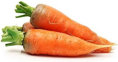 Qualtivate RES-6A Carrots-Danvers Half Long Seeds Seed(300 per packet)