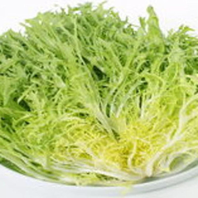 KNESSiN Lettuce Seed(200 per packet)