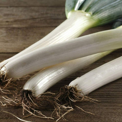 CYBEXIS Growth Natural Green Onions1000 Seeds Seed(1000 per packet)