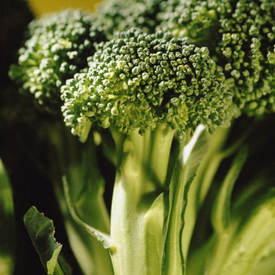 Qualtivate NDIR-495 Seeds of Broccoli Green Calabrese Seed(200 per packet)