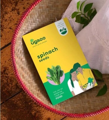 UGAOO Palak or Spinach Vegetable Seeds (Green, Pack of 100 g) Seed(100 g)