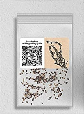 WILLVINE Non-GMO F1 HybridThyme-5000 Seeds Seed(5000 per packet)
