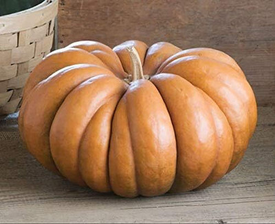 Qualtivate HUA-2A Pumpkin Musquee De Provanc Seed(50 per packet)