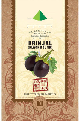 CYBEXIS Brinjal Seed(1200 per packet)