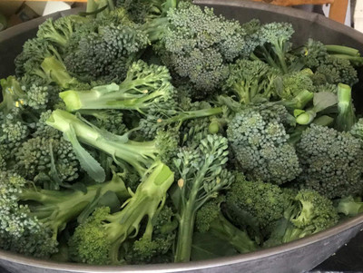 Qualtivate GBPT-1A Broccoli Blend Seeds Seed(300 per packet)