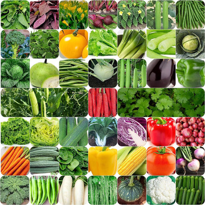 CRGO VEGETABLE COMBO Seed(2200 per packet)