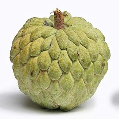 Aywal custard apple Seed(7 per packet)