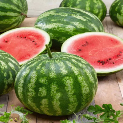 Farmonix Tropical Fruit Watermelon/तरबूज के बीज Seed(100 per packet)