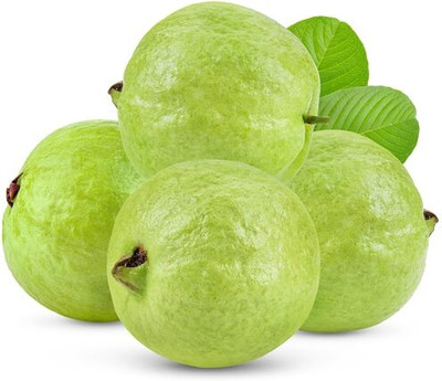 XOLDA Organic Guava fruit Seed(20 per packet)
