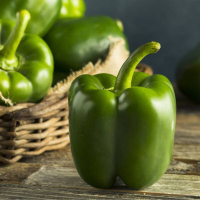 Hybrid Galaxy green capsicum vegetable hybrid seeds 1-packet Seed(10 per packet)