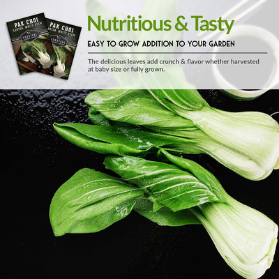 WILLVINE NKR -IX Pak Choi or Bok Choy Seed [5g] Seed(1500 per packet)