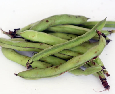 WANCY Broad Beans बाकला फली Vegetable Seed(40 per packet)