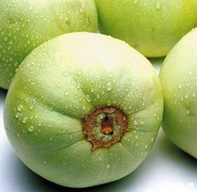 Qualtivate PUA-9A Sweet Musk Melon Japanese Mini Honeydew Seed(200 per packet)