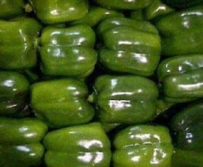 KNESSiN Hybrid Emerald Giant Capsicum Vegetable Seeds for Garden-(50 Seeds) Seed(50 per packet)