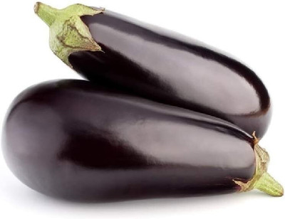 KNESSiN Early-Maturing Brinjal Black Beauty Vegetable (400 Seeds) Seed(400 per packet)