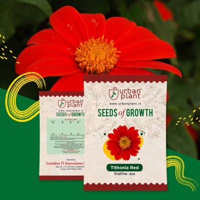 Urban Plant Tithonia Red Seed(200 per packet)