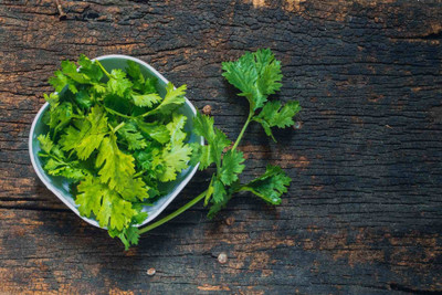 Avysa Cilantro/Coriander Herbs Seed(100 per packet)