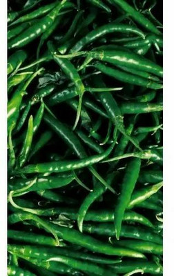 Mozette Organic green chilli Seed(50 per packet)