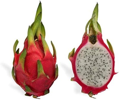 wequality Dragon fruit seeds for home garden/Dragon fruit seed 14 Seed(14 per packet)