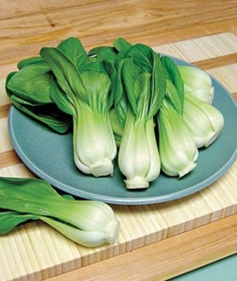 ENINE Hybrid Vegetable Seeds for Home Gardening Pak choi 50 Seeds FF65 Seed(50 per packet)