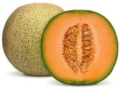 CYBEXIS HUA-99 - MUSKMELON F-1 HYBRID US-111 - (1350 Seeds) Seed(1350 per packet)