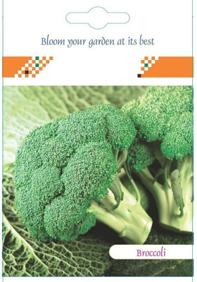 WILLVINE Broccoli Hybrid Seeds-(2500 Seeds) Seed(2500 per packet)