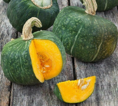 Quentova Buttercup Squash Seeds |Green Pumpkin-VISHVA-3B Seed(75 per packet)