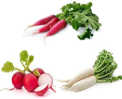 LPR MULI ,WHITE RADISH Seed(60 per packet)