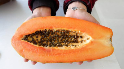 BDSresolve red lady 786 papaya seeds original/papaya seeds 32 Seed(32 per packet)