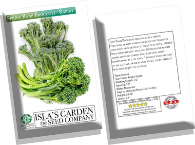 WILLVINE AMR -IX Broccoli Spring Raab Rapini Seeds [10g] Seed(3000 per packet)