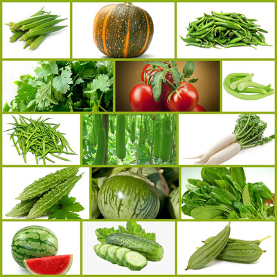 CRGO Summer Hybrid Vegetable Seeds With Instruction Manual (Pack of 15 Variety) Seed(2200 per packet)