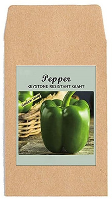 CYBEXIS Hybrid Vegetable Seeds-Pepper Capsicum2400 Seeds Seed(2400 per packet)