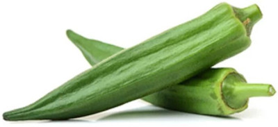 GREENSEA Hybrid Bhindi Seed(60 per packet)