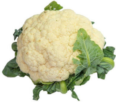 Kritharth Creation white cauliflower,gobhee seeds Seed(30 per packet)