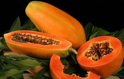 Farmonix Organic Extra Large Papaya Seed Seed(100 per packet)