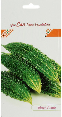 CYBEXIS Bitter Gourd Hybrid Seeds800 Seeds Seed(800 per packet)