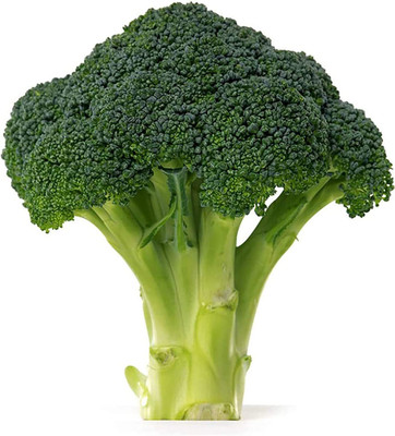 CYBEXIS Hybrid Broccoli Seeds Green2000 Seeds Seed(2000 per packet)
