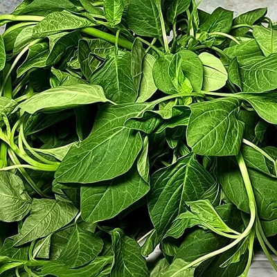Aywal Amaranthus Leaf Cholai Green Saag Seed(220 per packet)